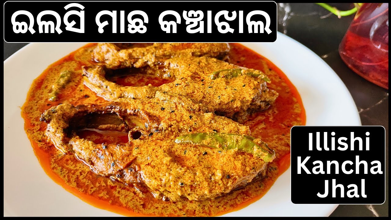 ଇଲସି ମାଛ କଞ୍ଚାଝାଲ ପୁରା ଦୁଇଥର ଭାତ ମାଗି ଖାଇବେ ଯଦି ଏମିତି ପ୍ରଣାଳୀରେ ଇଲିସମାଛ କରିବେ‼️Illishi Kancha Jhal‼️