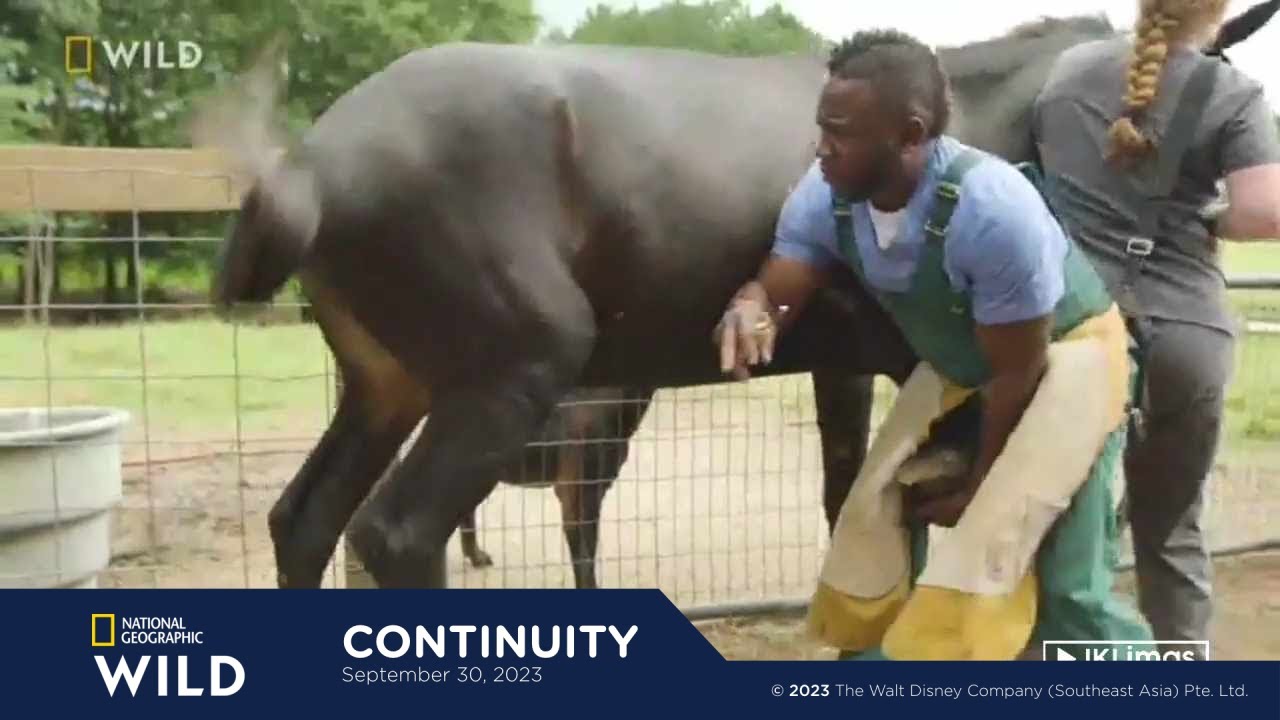 National Geographic Wild Asia continuity | September 30, 2023 (last day of airing)