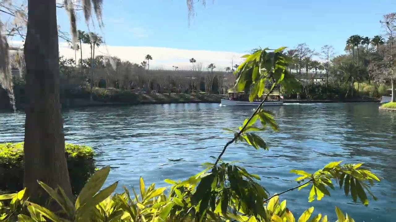 Fantastic walk from Hard Rock Hotel to Universal Studios. We loved this path from Portofino Bay!