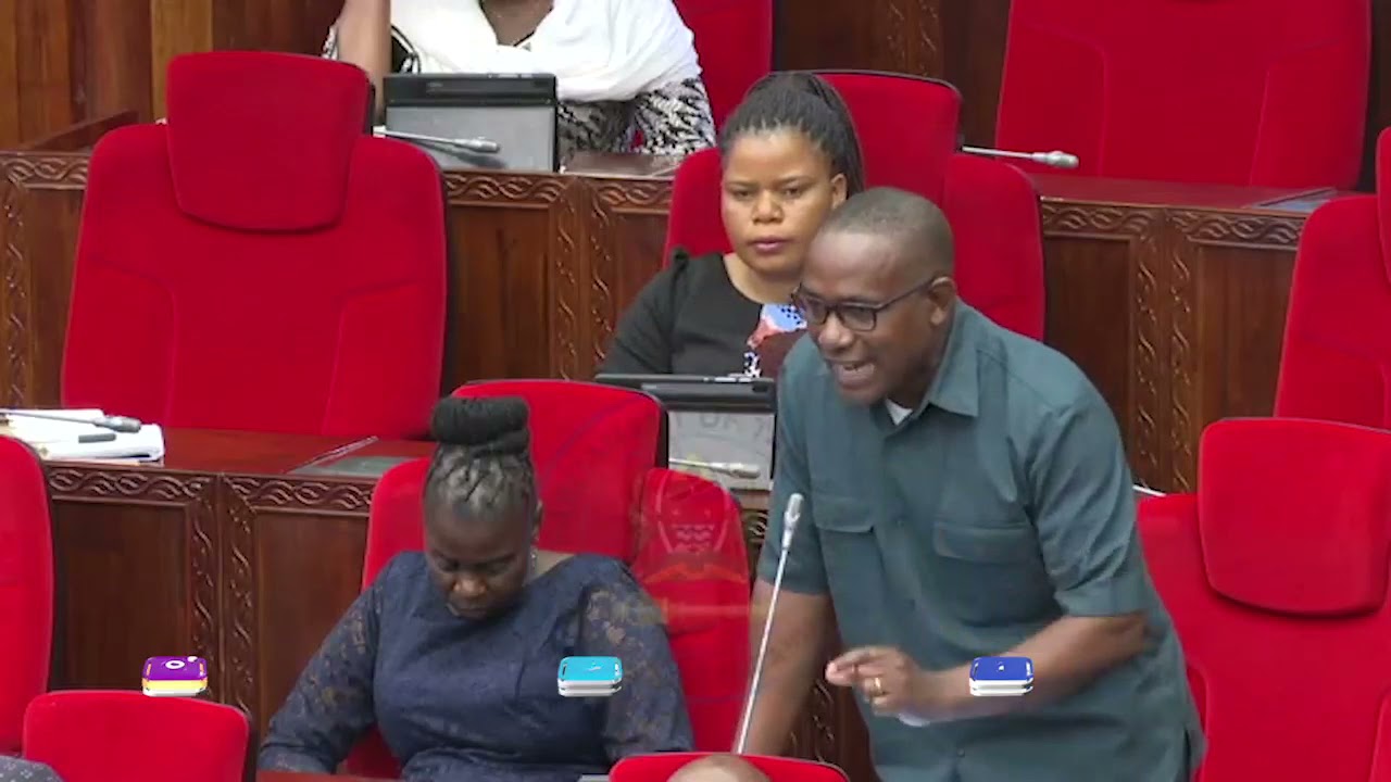 Ishengoma: Sheria ya Barabarani, Ndege Itazame Upya/Watanzania Wanapopata Ajali Walipwe...!