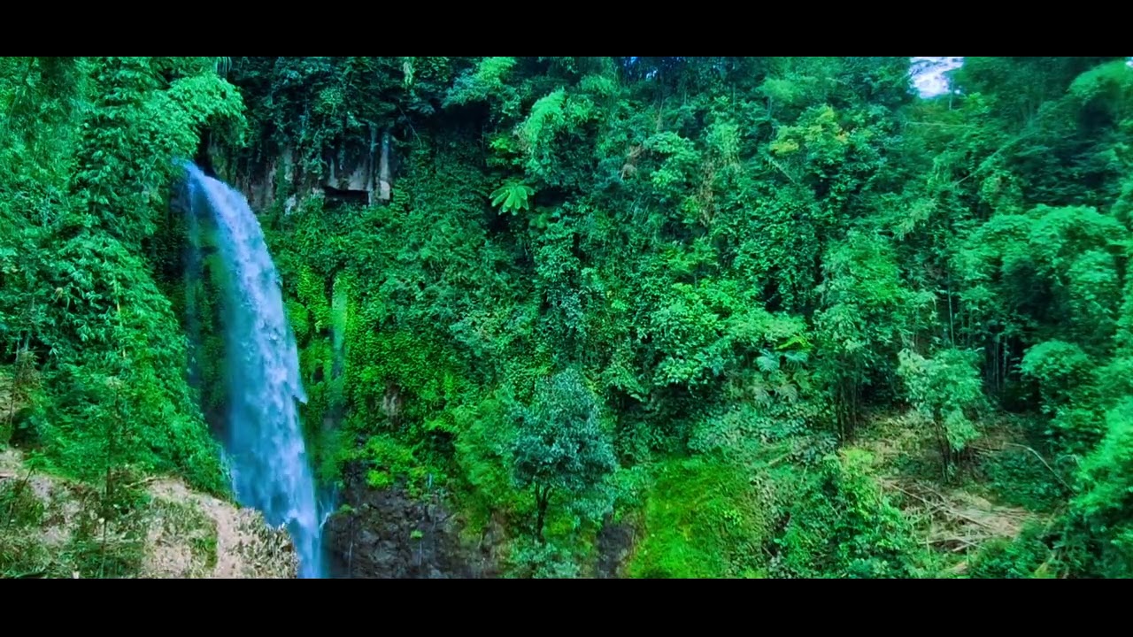 River Sounds with Birds | Long Sleep Aid