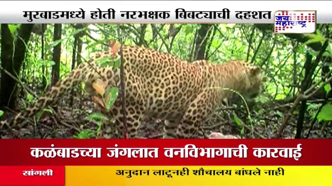 MURBAD BIPTYA KILLED