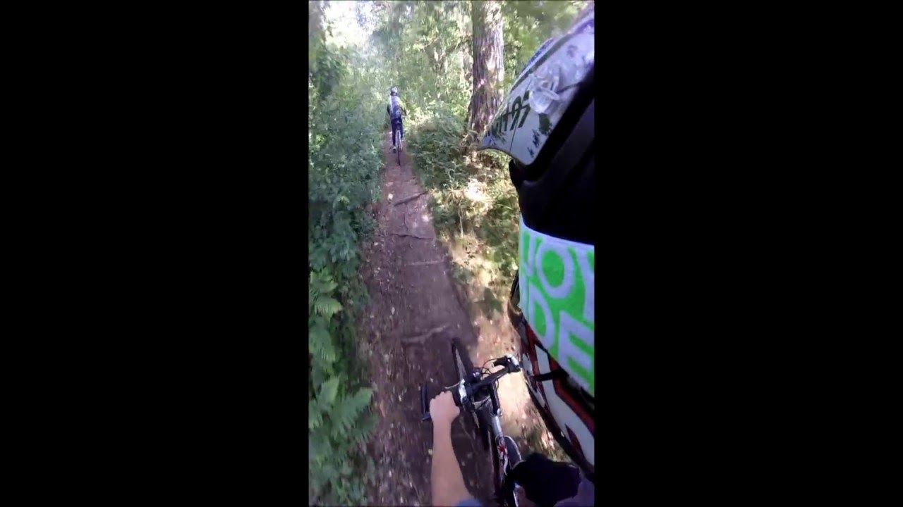 MTB im Wald 2015