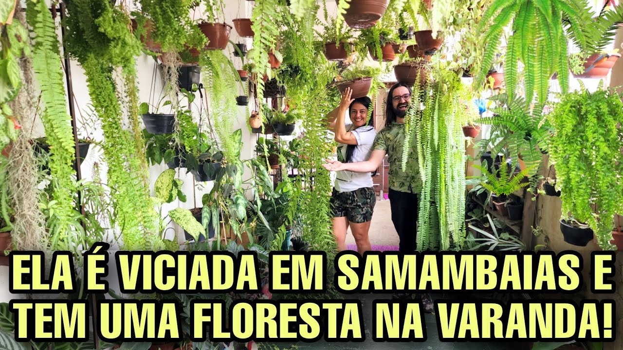 ELA É VICIADA EM SAMAMBAIAS - coleção de plantas estilo avó - cultivo raiz