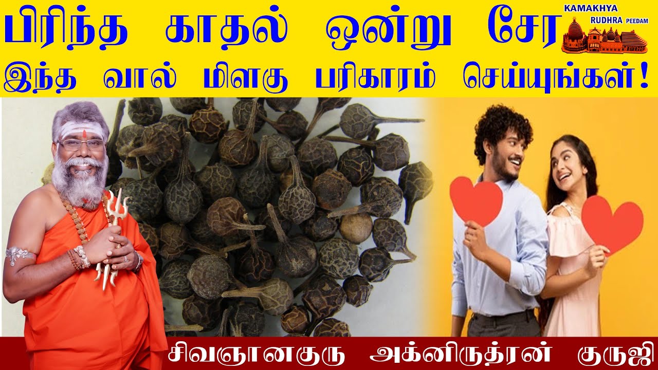 பிரிந்த காதல் ஒன்று சேர கைக்கூட வால் மிளகு பரிகாரம் | pirintha kadal ondru sera pariharam |ருத்ரன்ஜி