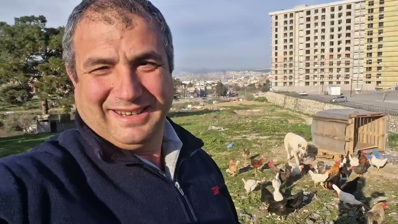 Çoban koyunları merada nasıl otlatıyor/sokak köpeği dşye aldım cengaver çıktı