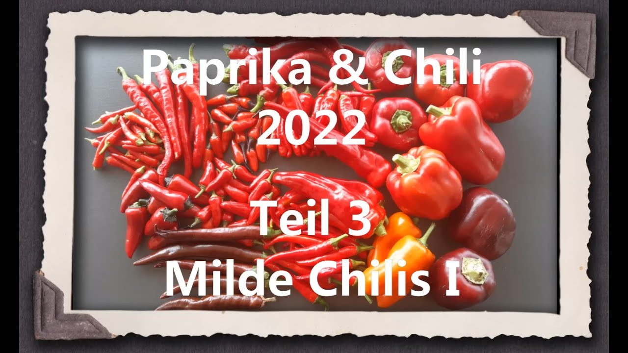 Paprika & Chili 2022 Teil 3 - Milde Chilis I