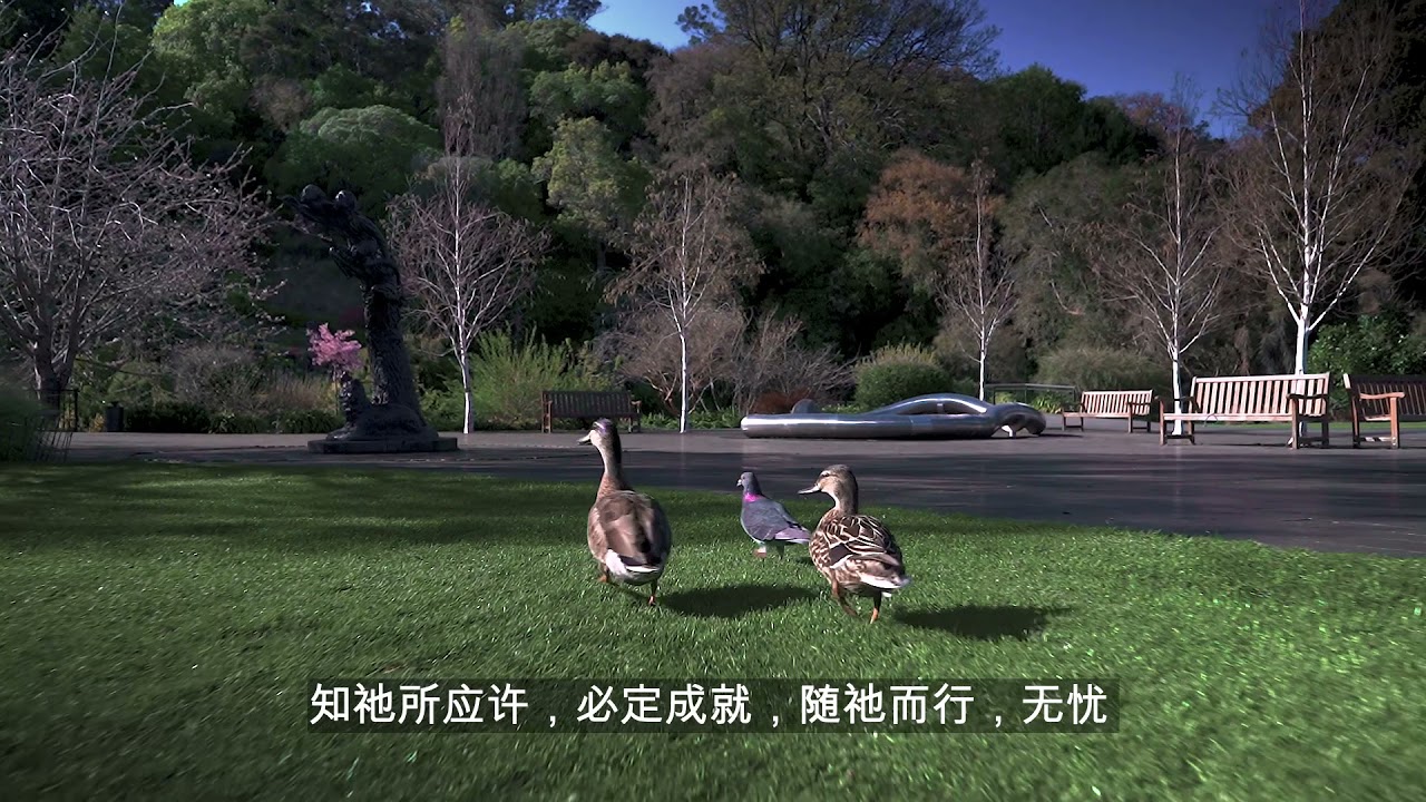 过河的人