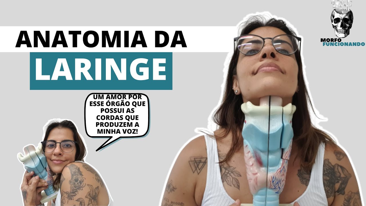 ANATOMIA DA LARINGE - VIAS AÉREAS SUPERIORES #4