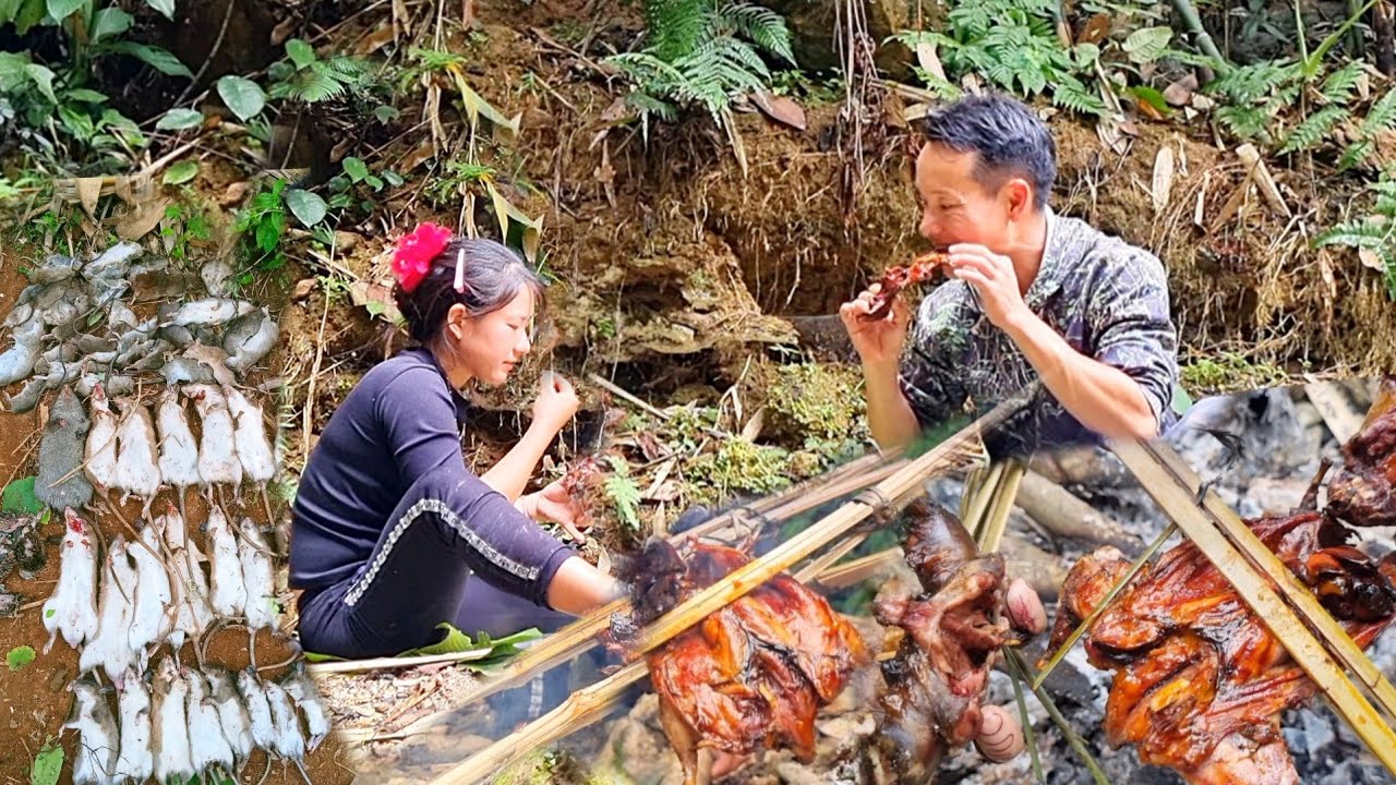ĐƯA VỢ ĐI VÀO RỪNG THĂM BẪY CHUỘT VÀ CÁI KẾT CHO CẢ HAI #thaovlog