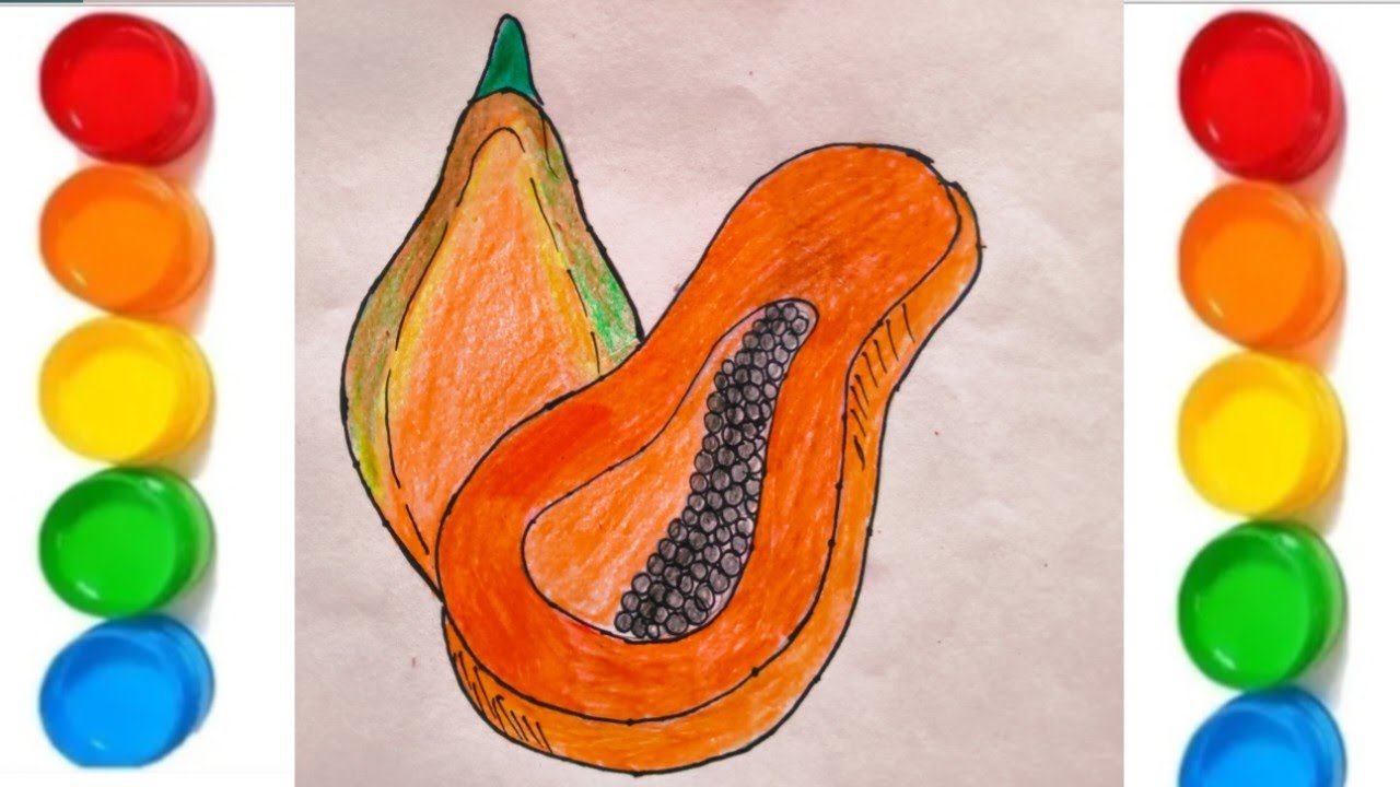 How to easy draw papaya and colouring||easy papaya drawing art 🎨||papaya drawing art