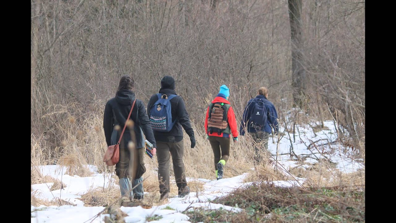 Wolf Expedition 2015   diaporama