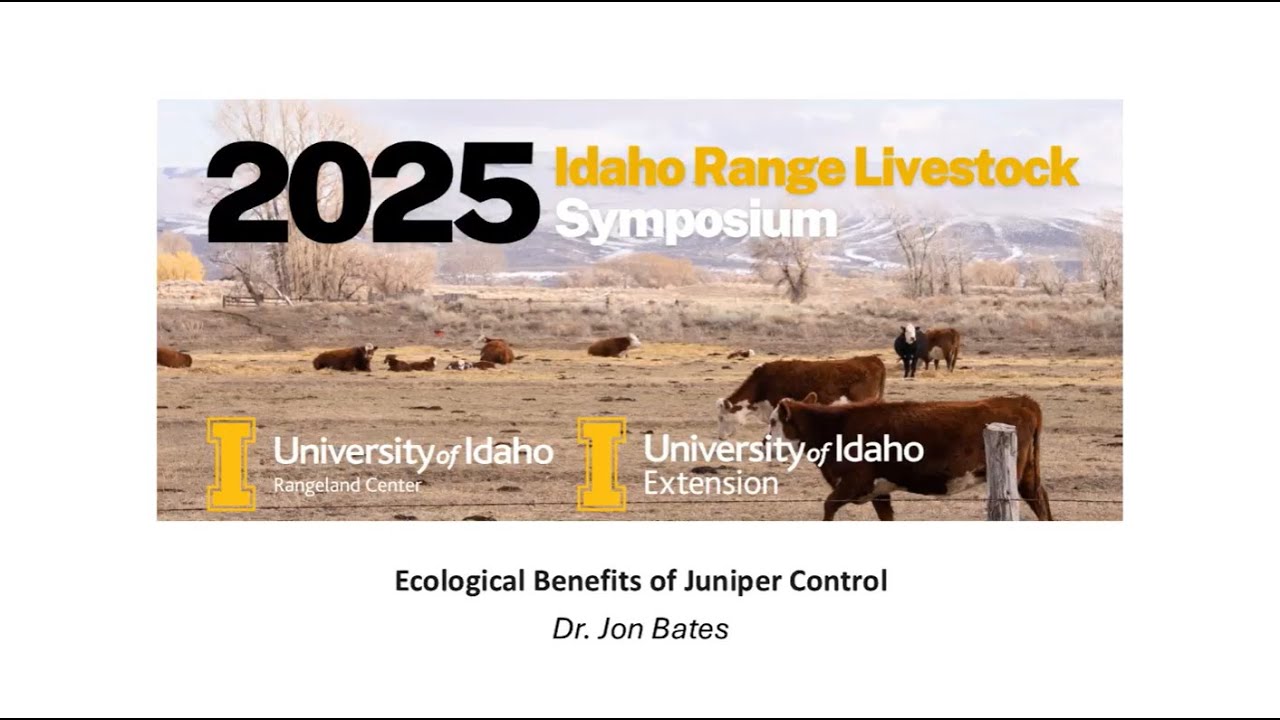 IRLS 2025: Ecological Benefits of Juniper Control