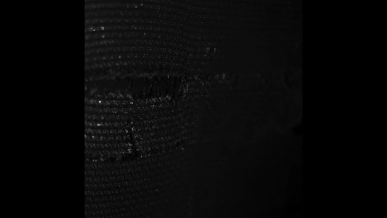 AICHER Harness Pleads [ft. R. Rebeiro]