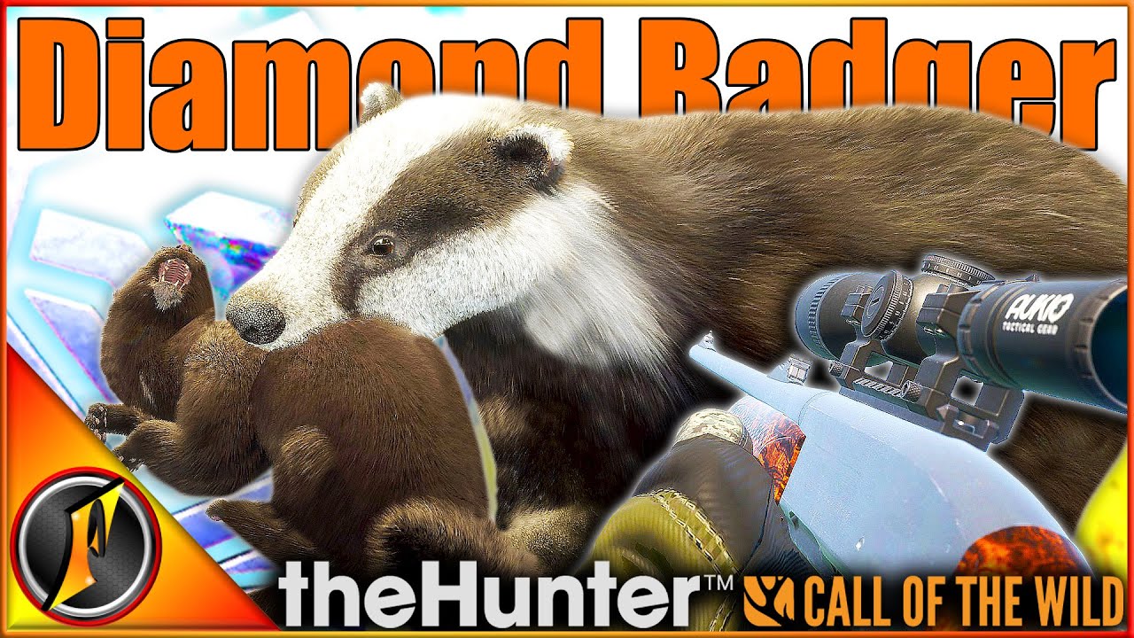 We Got a DIAMOND BADGER on Scotland!!! | theHunter Call of the Wild