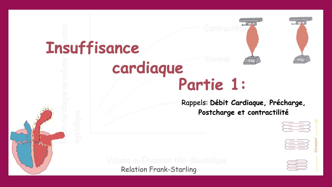 Insuffisance Cardiaque Partie 1: Rappels(Débit Cardiaque, Contractilité, Précharge, Postcharge)