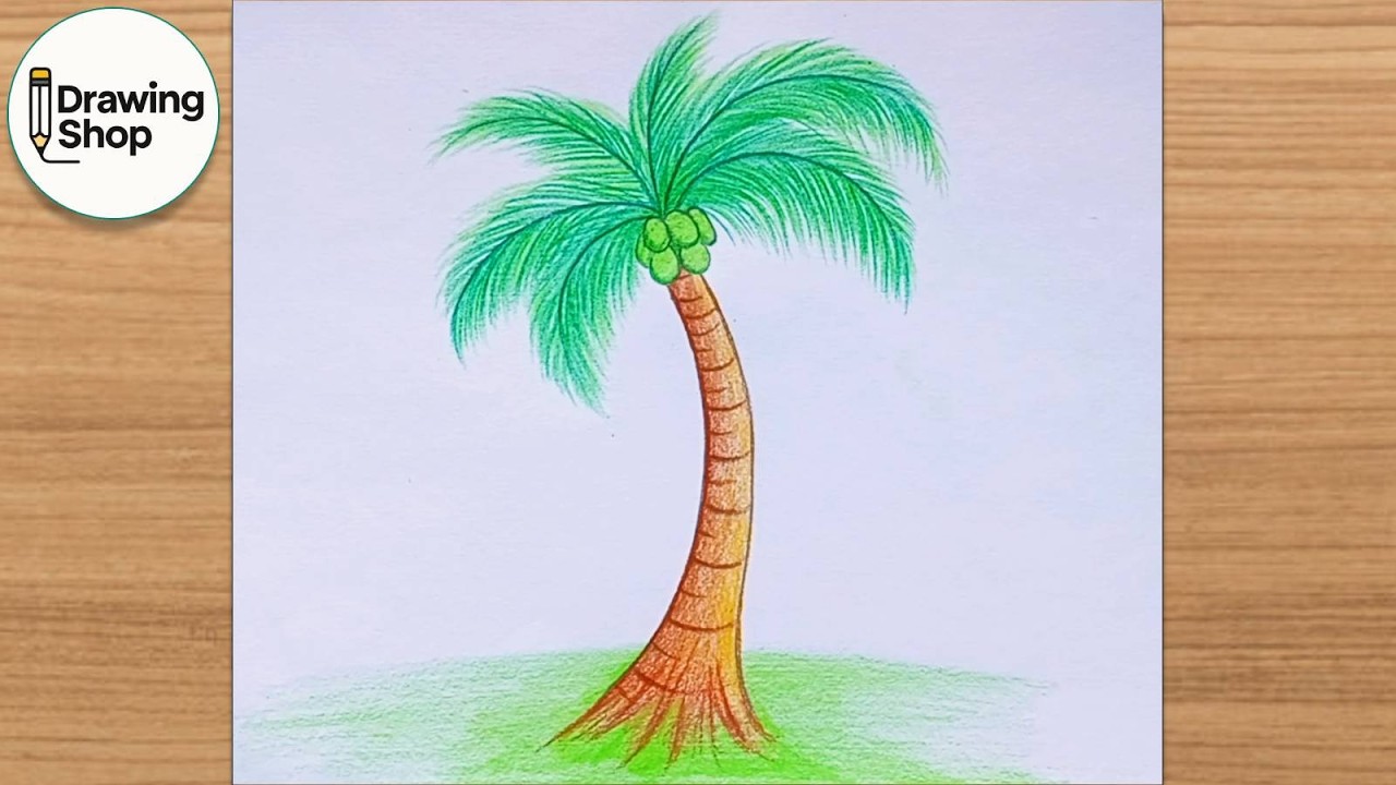 How to draw Coconut Tree - step by step || (easy drawing )