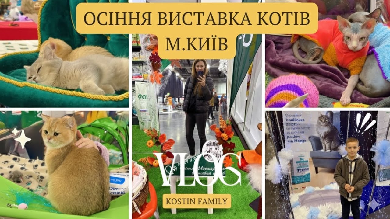 ОСІННЯ ВИСТАВКА КОТІВ м.Київ