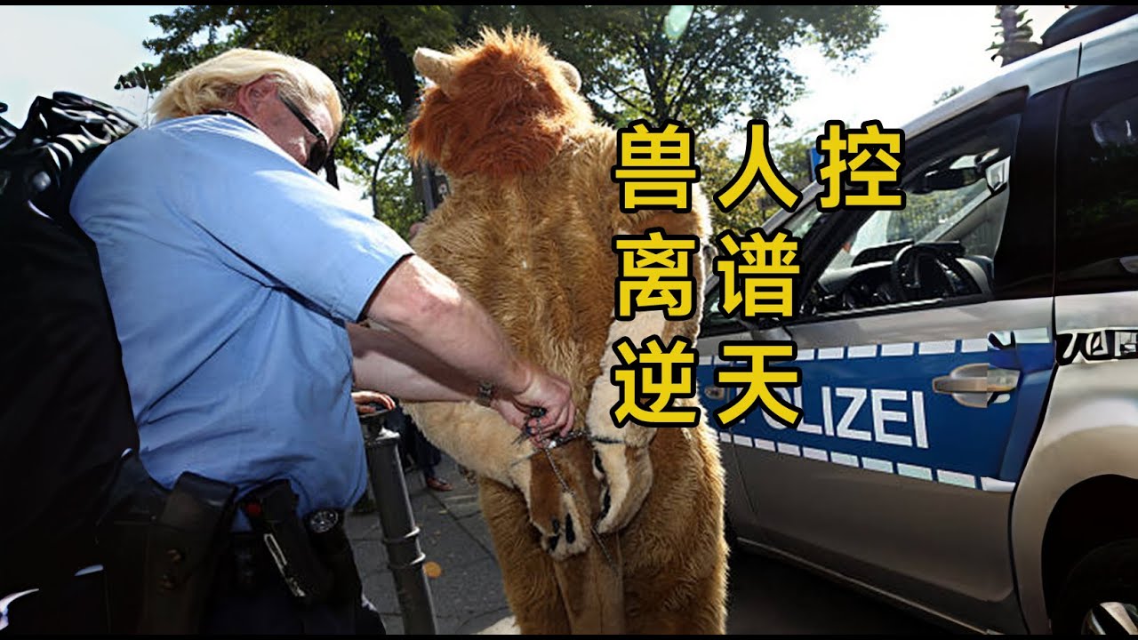 为什么Furry最不受欢迎