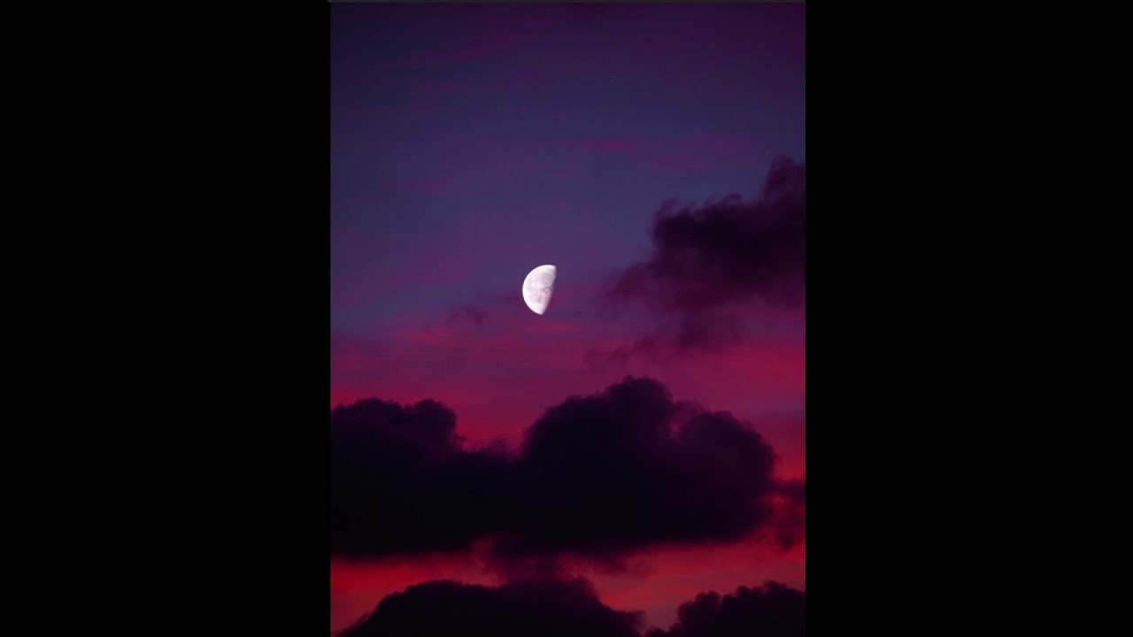 Toni-The-Wolf & Ko$ By - Ти си мойто всичко. TOPIC.#love#rap#sad#sadlove#foryou#viral#trending#fypシ