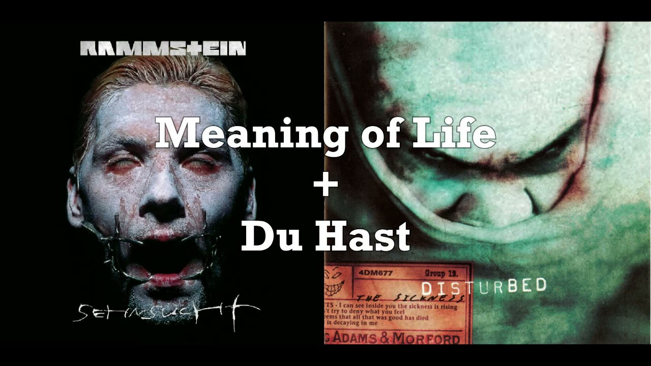 Disturbed & Rammstein - Meaning of life/Du hast