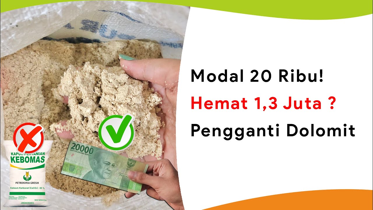 Modal 20 Ribu! Bisa Menggantikan Kapur Dolomit 20 Karung?