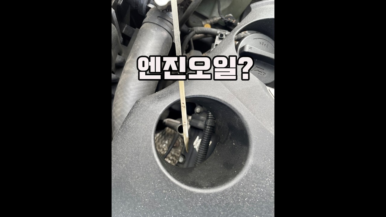 그것?은 어디로 갔나? 그랜저 HG 중고차 검수 서울 출장기.