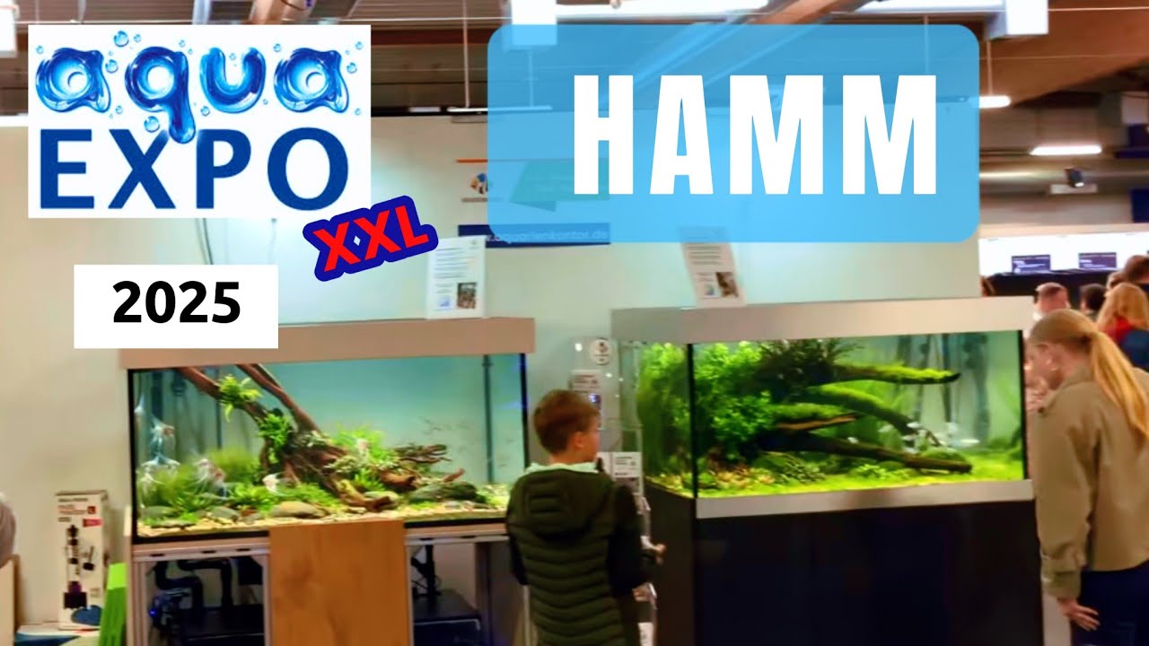 Aqua-Expo-XXL 2025 Tag 1