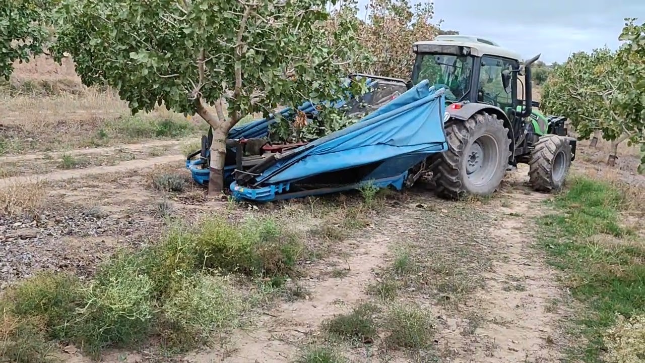 Συγκομιδή και αποφλοίωση φιστικιών με Τopavi Μ6