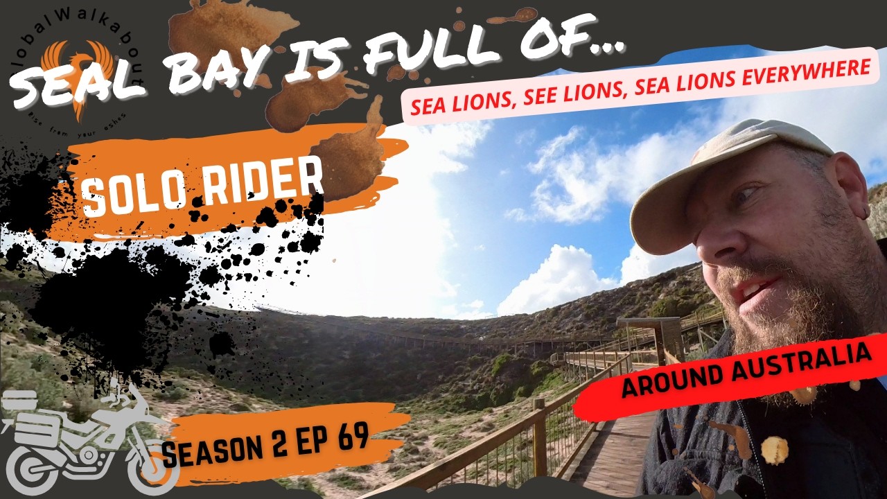 Seal Bay? it's full of Sea Lions! #KangarooIsland #SealBay #SeaLion #AfricaTwin #Australia #S2EP69