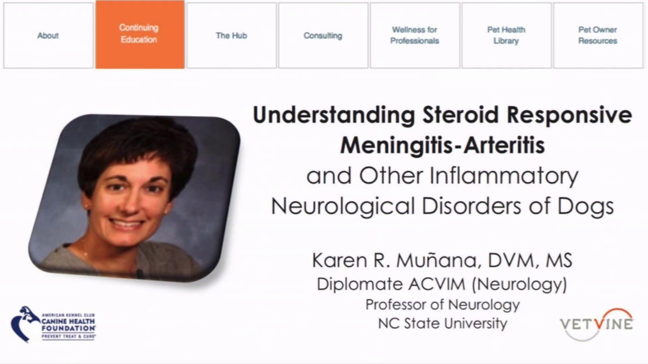 Understanding SRMA & Other Inflammatory Neurological Disorders of Dogs