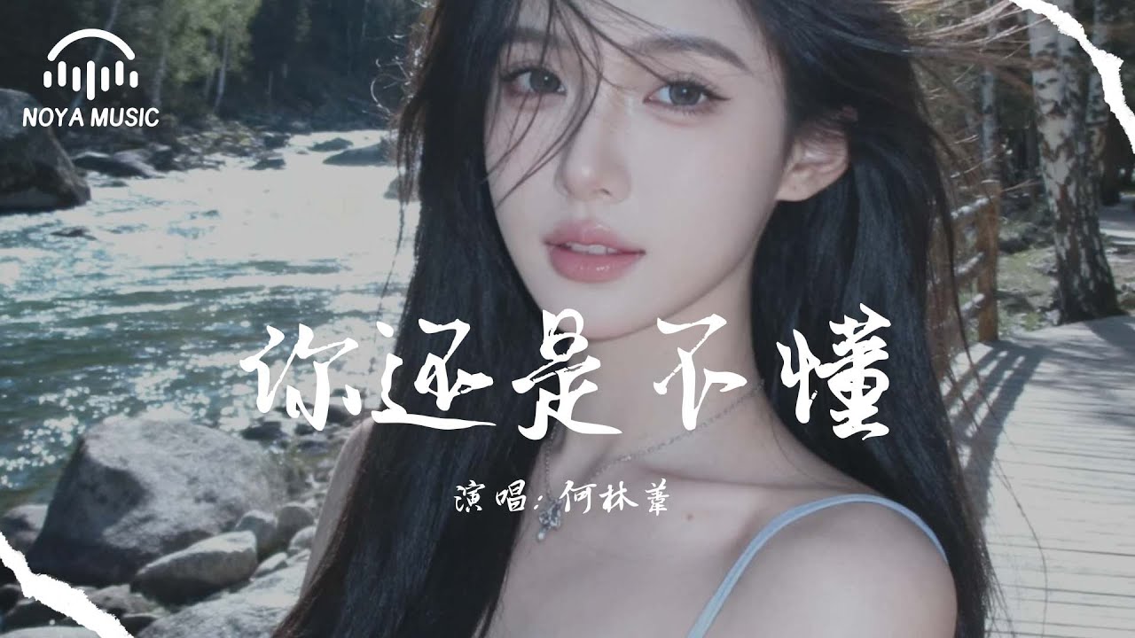 你還是不懂 - 何林葦『ni hai shi bu dong - he lin wei』『动态歌词MV』