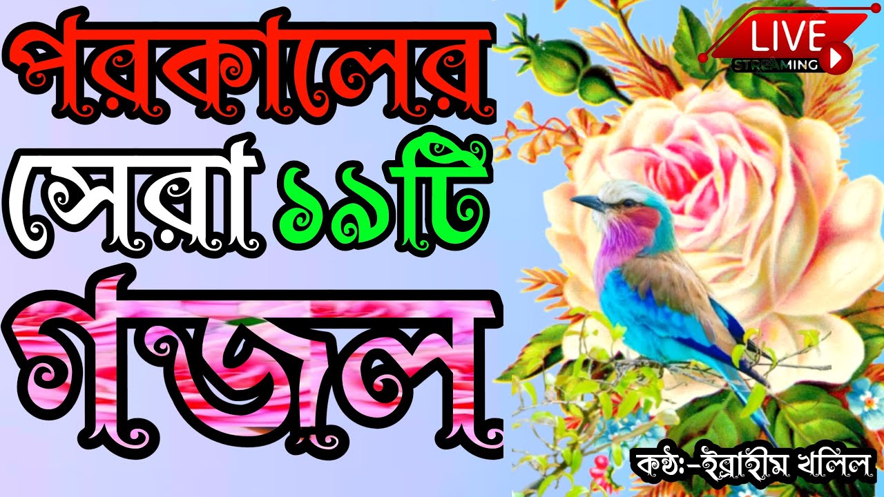 🔴Live মন প্রাণ শীতল করা লাইভ গজল || Beautiful Bangla Live Gojol  || Gojol || gojal | gozhal || gozal