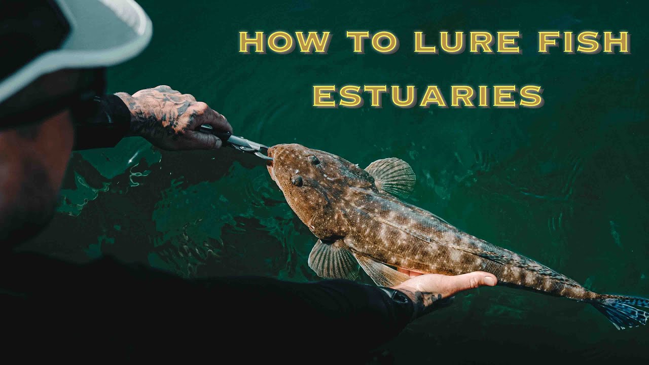 Lure fishing lessons in the estuary (HOW TO)