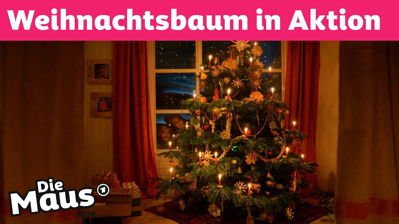 Was macht denn der Weihnachtsbaum da? | DieMaus | WDR