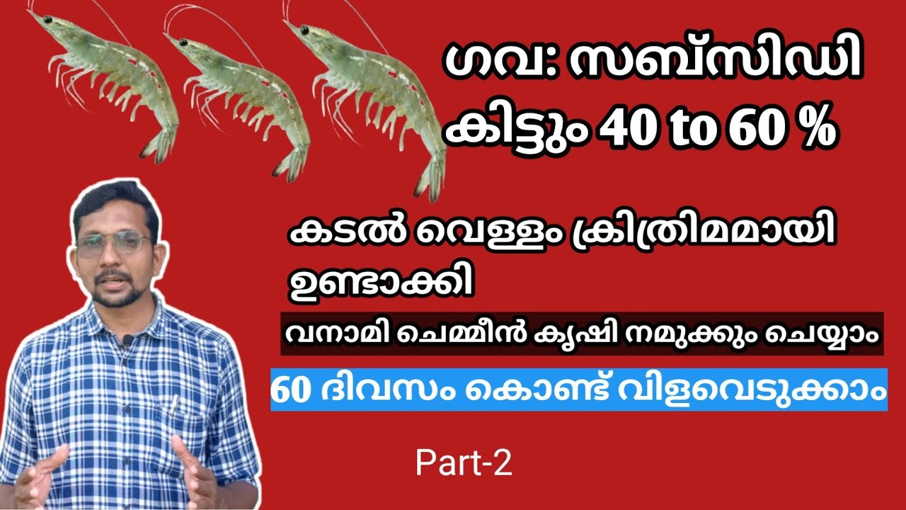 കടൽ വെള്ളം ക്രിത്രിമമായി ഉണ്ടാക്കി വനാമി ചെമ്മീൻ കൃഷി| Bio floc farming malayalam