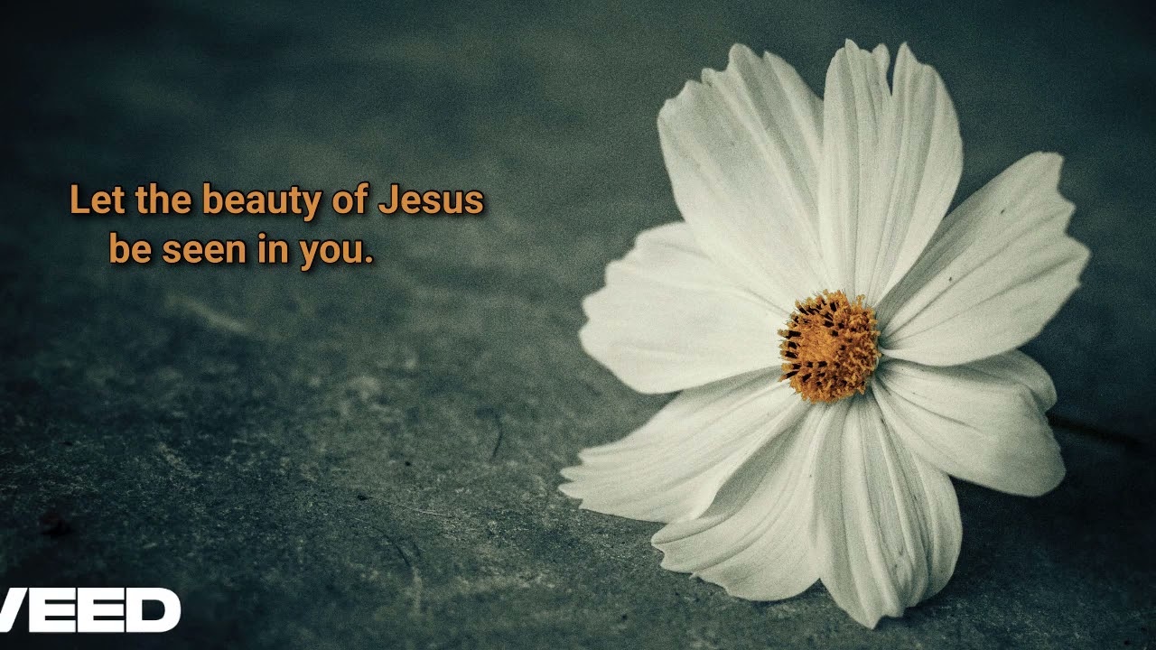 Let the beauty of Jesus be seen in me