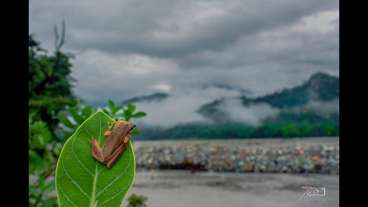 PHOTOGRAPHY TOURS IN JAYANTI