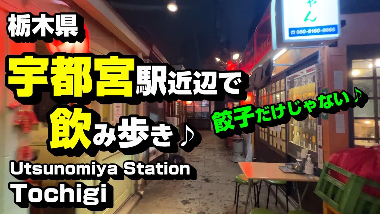 栃木県 宇都宮駅近辺で飲み歩き　～ぎょうざだけじゃない♪～