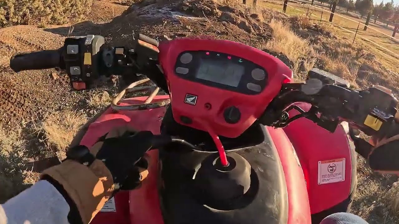 I bought a $600 2003 Honda Rincon 650 on marketplace. Was it a mistake?