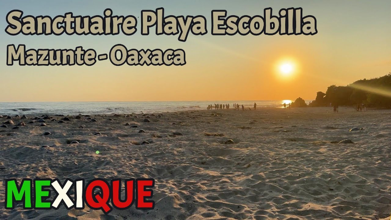 Sanctuaire Playa Escobilla