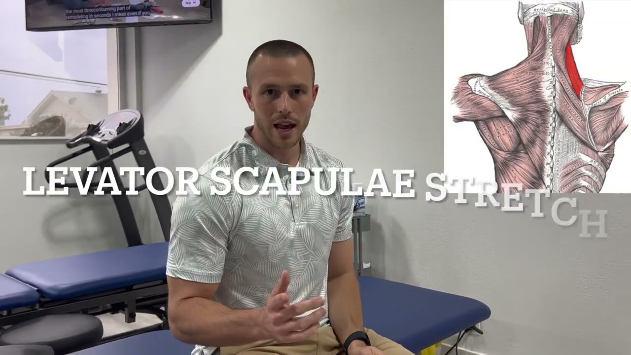 4 neck stretches SCM, UT, LS, Scalenes