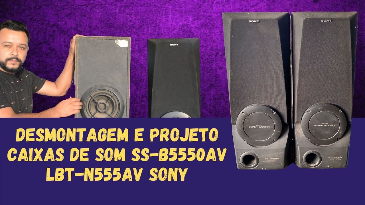 Caixas som SS B5550AV Sony Desmontagem
