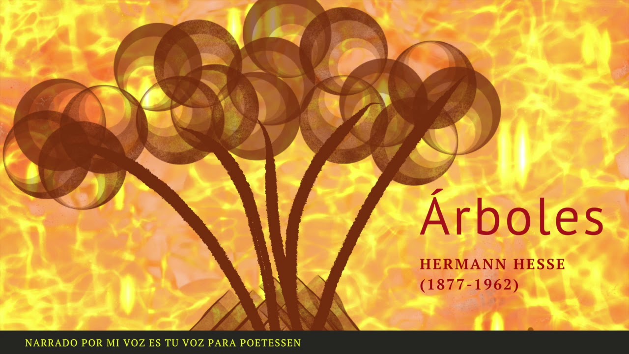 ÁRBOLES – Un cuento narrado de Hermann Hesse