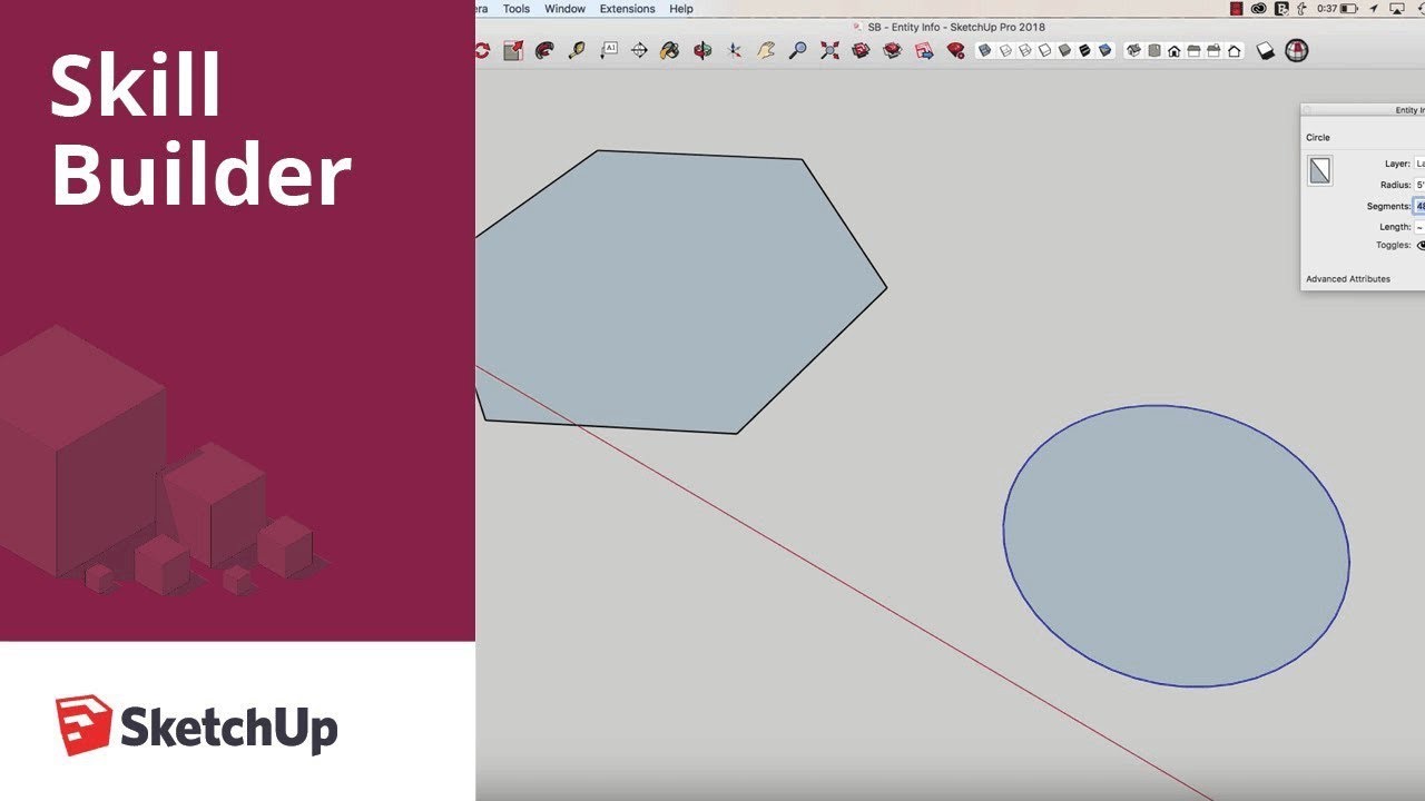 Entity Info Window in SketchUp - Skill Builder