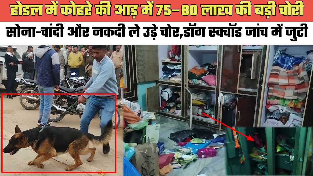 होडल में कोहरे की आड़ में 80 लाख की बड़ी चोरी,सोना-चांदी,नकदी ले उड़े चोर,डॉग स्क्वॉड जांच में जुटी 