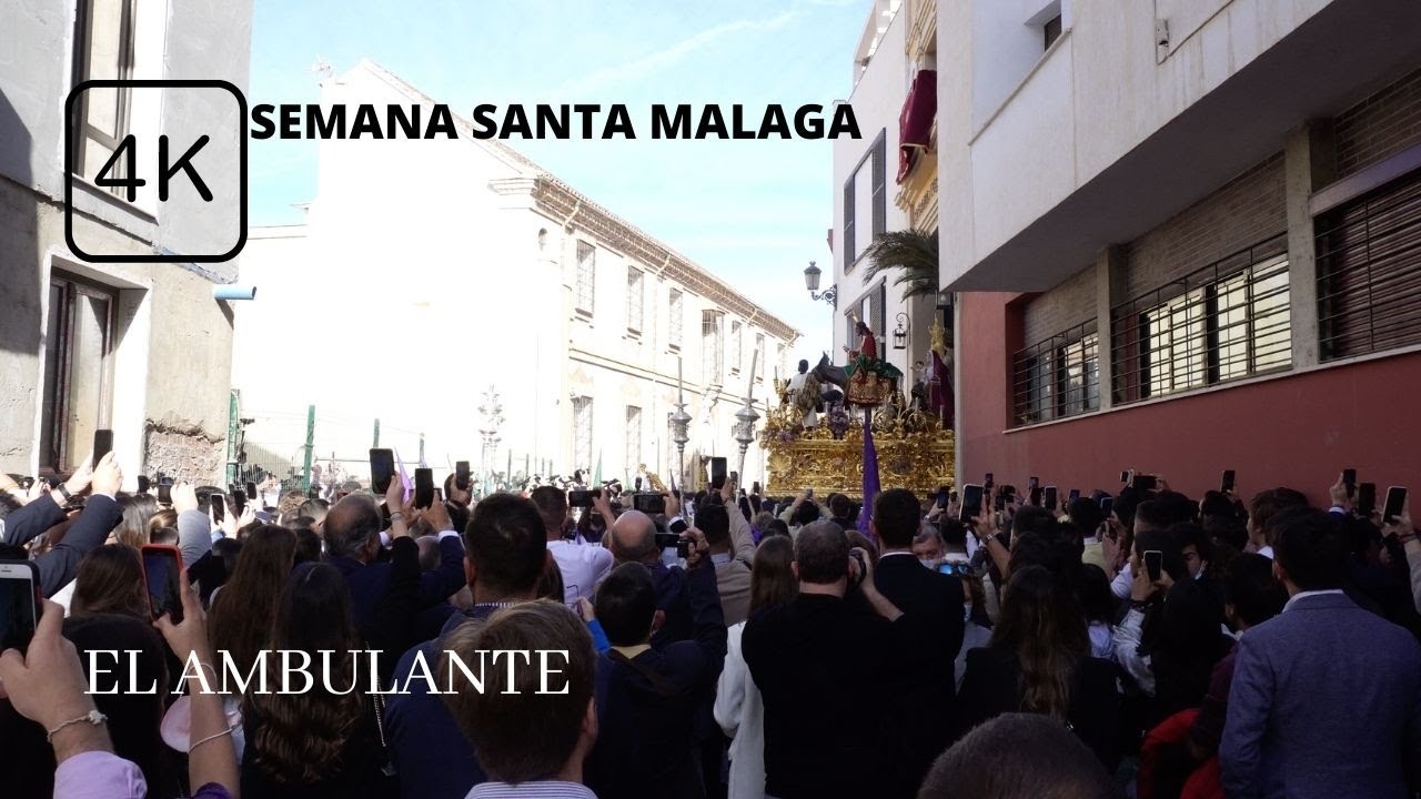 POLLINICA C/PARRAS (SALIDA) MÁLAGA 2022