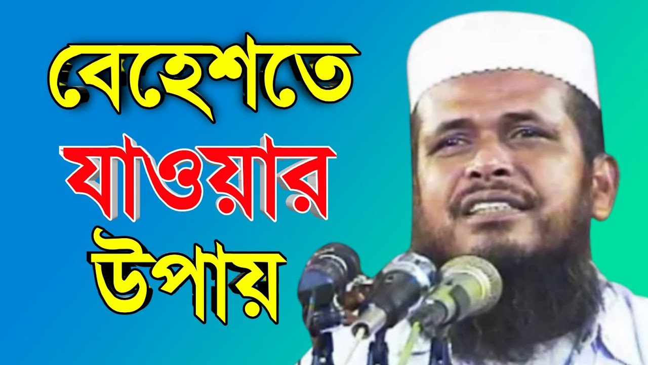 জান্নাতে যাওয়ার উপায় || মাওলানা তোফাজ্জল হোসেন ভৈরবি || Mawlana Tofazzal Hossain Bhairabi waz