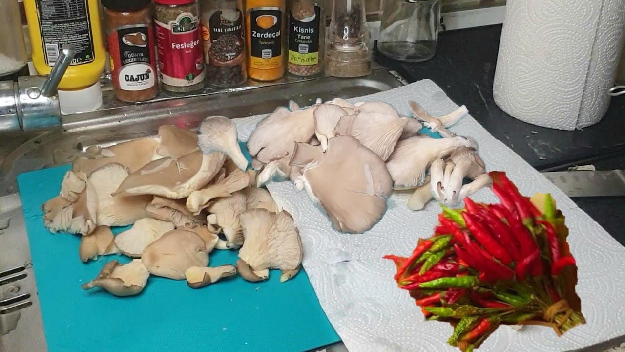 КАК ПРИГОТОВИТЬ НАСТОЯЩИЕ УСТРИЧНЫЕ ГРИБЫ ДВА БЛЮДА, КОТОРЫЕ СОПЕРНИЧАЮТ С КРАСНЫМ МЯСОМ!!  РЕЦЕПТ