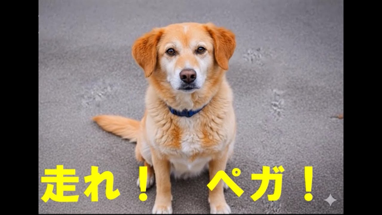 走れ！ペガ！